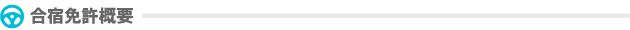 合宿免許概要