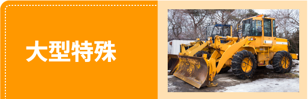 大型特殊
